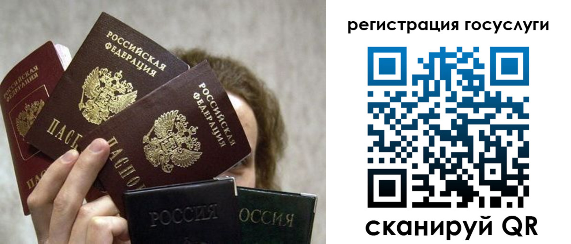 временная регистрация поиск в Шебекино